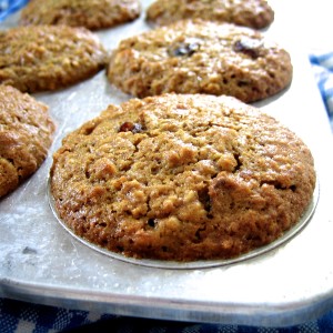 Whole Wheat Cranberry Date Oatmeal Muffins